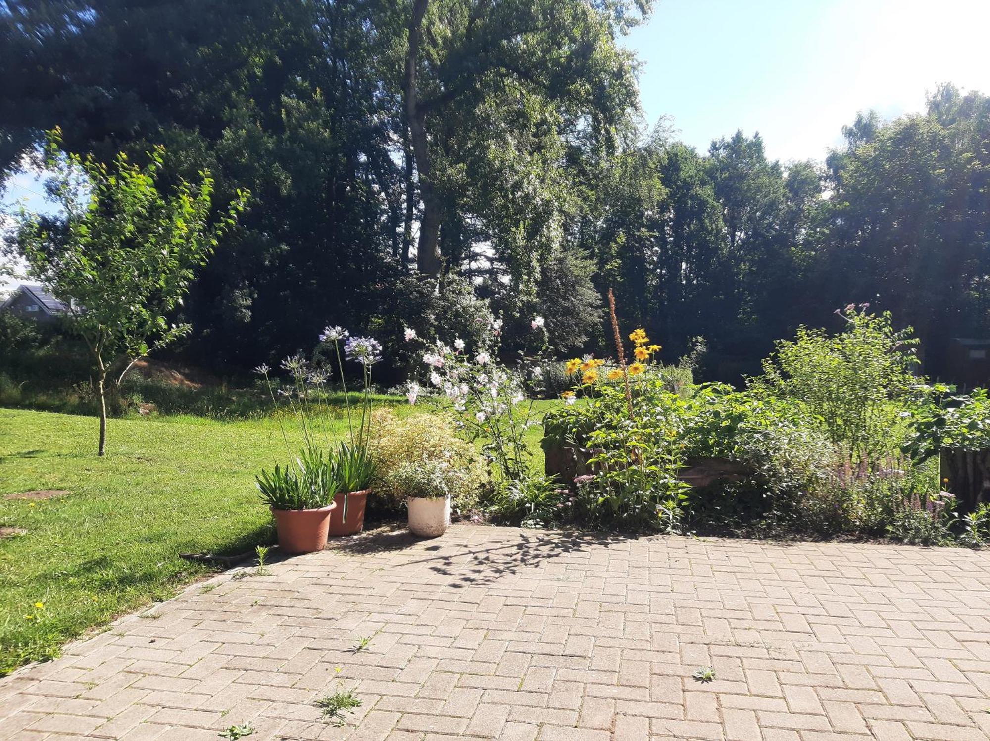 Ferienwohnung Auf Dem Land Ladbergen Exterior foto